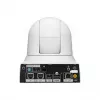 Sony SRG-X40UH câmara de segurança IP dome interior 3840 x 2160 píxeis teto/parede