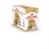 ROYAL CANIN Shih Tzu Adult comida húmida para cães patê 12x85 g