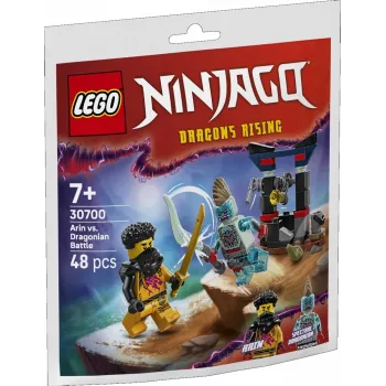 Brinquedo de construção set LEGO 30700 Arins Kampf mit dem Drachenmann Polybag (mini set)