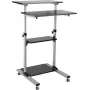 Posto de trabalho ROLINE para PC - suporte para monitor LCD / teclado / rato / CPU / impressora - plástico, metal - cinzento, preto (17.02.1547)