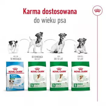 ROYAL CANIN Mini Ageing Adult +12 - Ração seca para cães - 3,5 kg