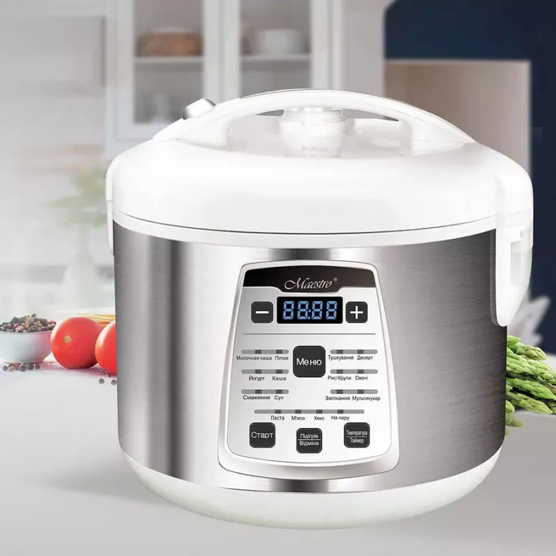 MULTICOZINHEIRO MAESTRO MR-792 17 programas, 700 W