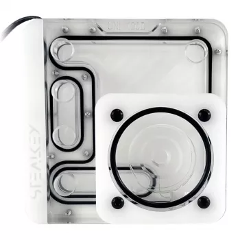 Stealkey Customs SK-UNI 120D - branco
