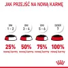 Comida húmida para gatos Royal Canin Urinary Care adultos aves 85 g saqueta (pack de 12)