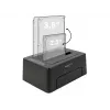 DeLOCK - Docking station para HDD compartimentos: 2 - SATA 6Gb/s - 6 Gbit/s - USB 3.1 (Gen 2) - preto (63957)