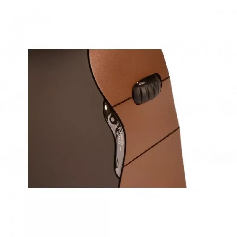 BakkerElkhuizen Evoluent 4 Small Wireless, para destros, design vertical, Laser, RF Wireless, 2600 DPI, Preto, Castanho