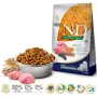 FARMINA N&D Ancestral Grain Puppy Medium&Maxi Lamb - Alimento seco para cães - 12 kg
