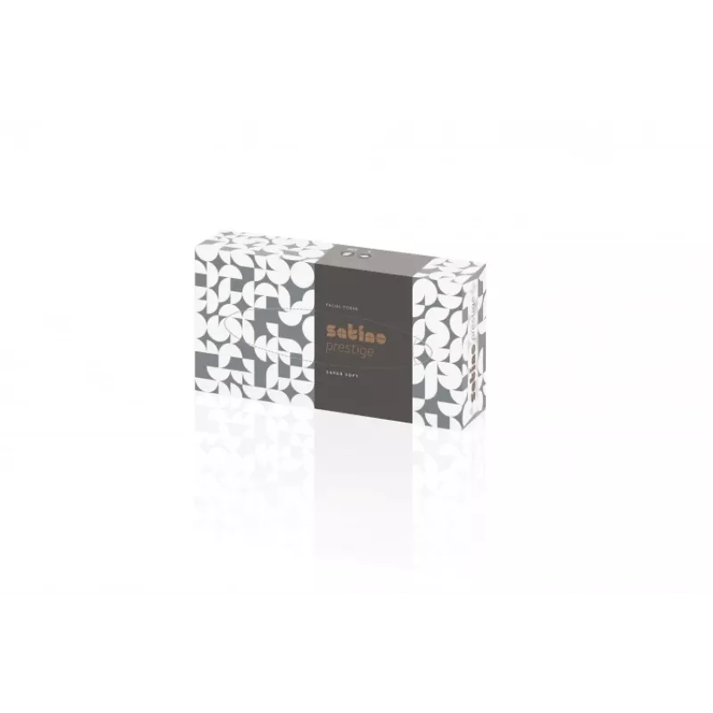 Lenços de rosto WEPA Prestige 2 folhas, branco, 100 unid.
