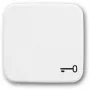 BUSCH-JAEGER Tecla símbolo chave 2520TR-214 Reflex SI branco alpino 2520TR-214 (1731-0-0959)