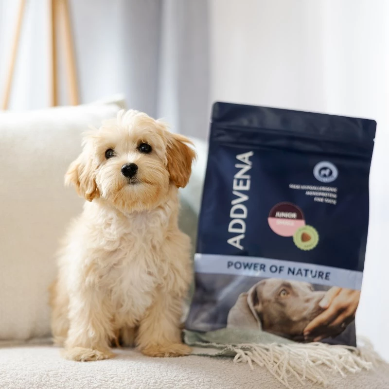 ADDVENA Power of Nature Junior Small Lamb - alimentação seca para cães - 2,5 kg