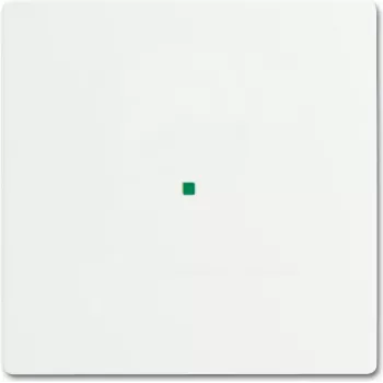 Busch-Jaeger 2CKA006220A0481 Placa de cobertura para suporte e caixa de sensor branco (2CKA006220A0481)