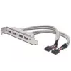 Cabo para chapa de slot USB 2.0 HighSpeed Tipo 2xIDC (5pin)/4xUSB A M/F cinzento 0,25 m