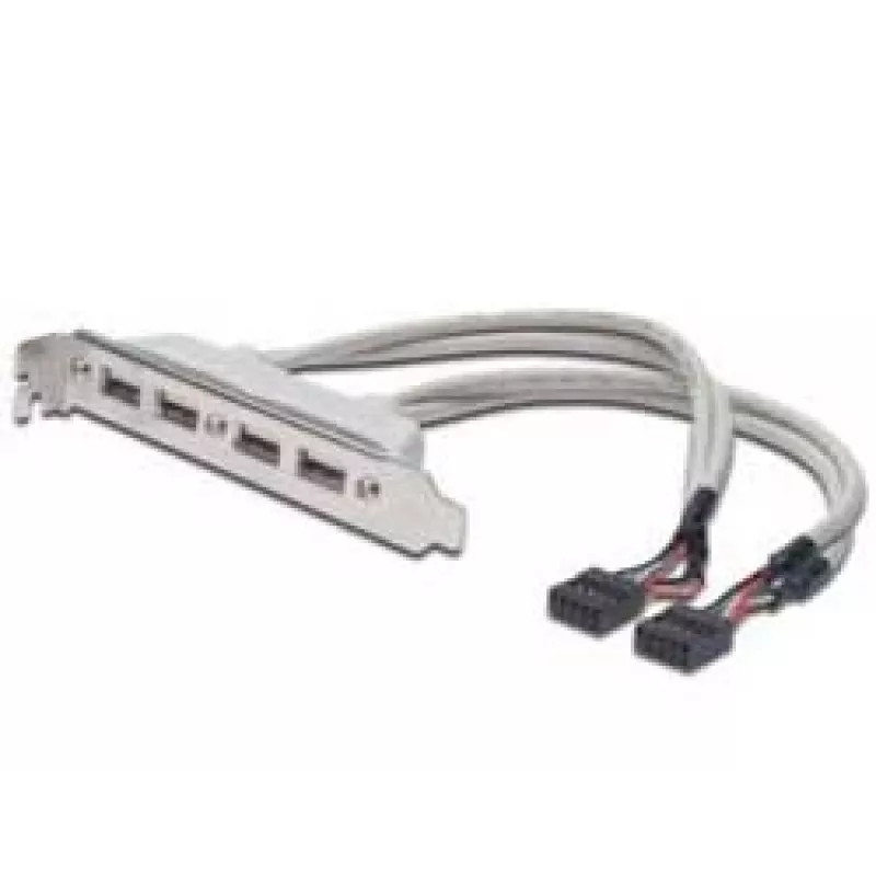 Cabo para chapa de slot USB 2.0 HighSpeed Tipo 2xIDC (5pin)/4xUSB A M/F cinzento 0,25 m