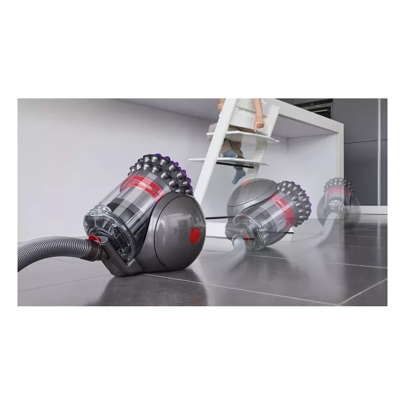 Aspirador cilíndrico Dyson Big Ball Absolute 2 - 447250-01