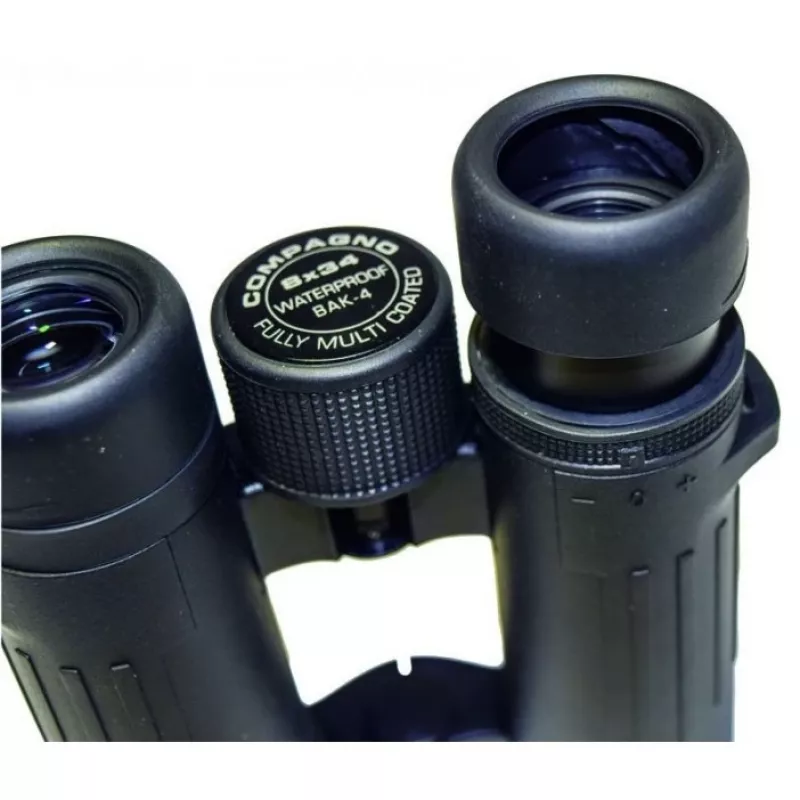 Binóculos Braun Photo Technik Compagno 10x34 WP BaK-4 preto