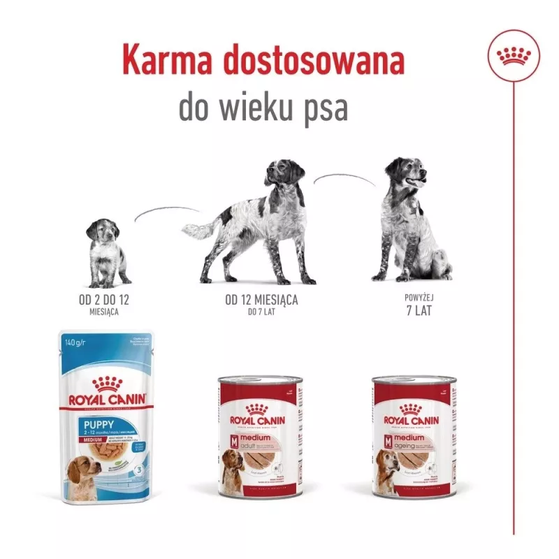 ROYAL CANIN SHN Medium Ageing pão lata 410 g