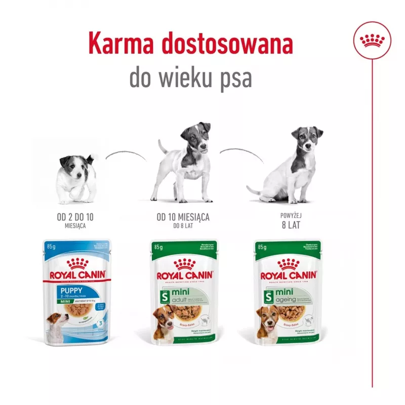 Comida húmida Royal Canin Mini Ageing 12+ Adult 85 g saqueta — raças pequenas, aves, sénior