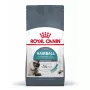 Ração seca para gatos Royal Canin Hairball Care 10 kg — fórmula para gatos adultos, milho e aves