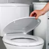 Assento de sanita Beldray LA030252UFFEU7 — antibacteriano, design de fácil manutenção