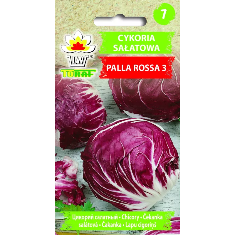 Sementes de hortícolas alface chicória Palla Rossa 3 Toraf, pacote 5g