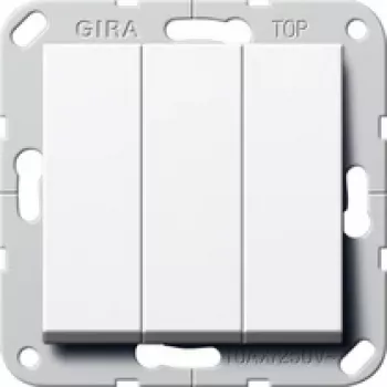 GIRA 283203 Interruptor elétrico 2P branco (283203)