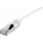 Cabo de rede Dexlan 858743 0,5 m Cat6a S/FTP branco