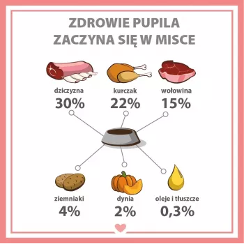 PUPIL Premium All Meat veado - comida húmida para cães - 800g