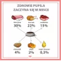 PUPIL Premium All Meat veado - comida húmida para cães - 800g