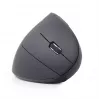 Gembird MUSW-ERGO-01 Rato para Destros RF Sem fios Ótico 1600 DPI