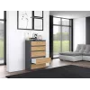 Topeshop M5 ANTRACYT/ARTISAN cómoda, antracite/Artisan