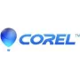 Corel PaintShop Pro 2023 - caixa - 1 utilizador (mini-caixa) - Win - multilingue - Europa