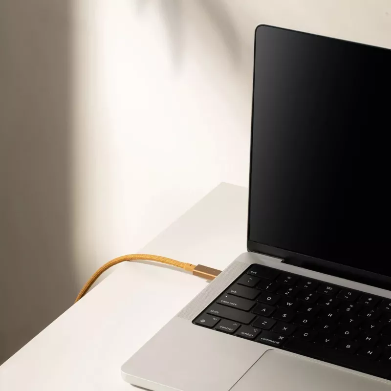 Cabo USB-C para USB-C Native Union Belt Cabo Pro 240W, 2,4 m, USB 2.0, 0,48 Gbit/s, verde