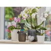 Pulverizador de jardim de mão Gardena 11112-20