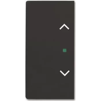 BUSCH JAEGER BJ 6232-20-885 tecla 2 vias cega preto mate Busch-free@home future