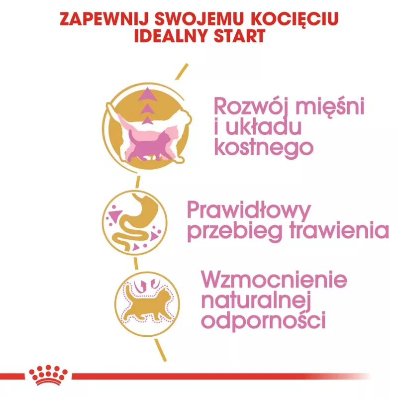 Ração seca para gatos Royal Canin British Shorthair Kitten 2 kg – frango, 38% proteína, 20% gordura, fórmula de crescimento