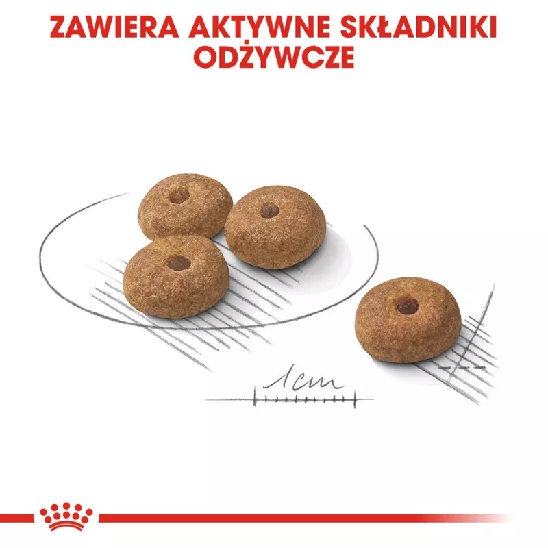 Ração seca para cães Royal Canin MINI Sterilised — cães adultos de raças pequenas 8 kg, frango, cuidado dentário, controlo de peso