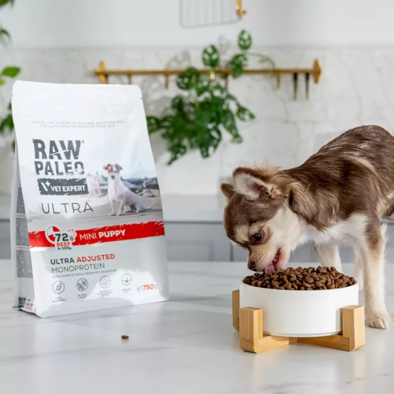 VETEXPERT RAW PALEO Ultra Mini Puppy bovino, ração seca para cachorros de raças pequenas, 2 kg