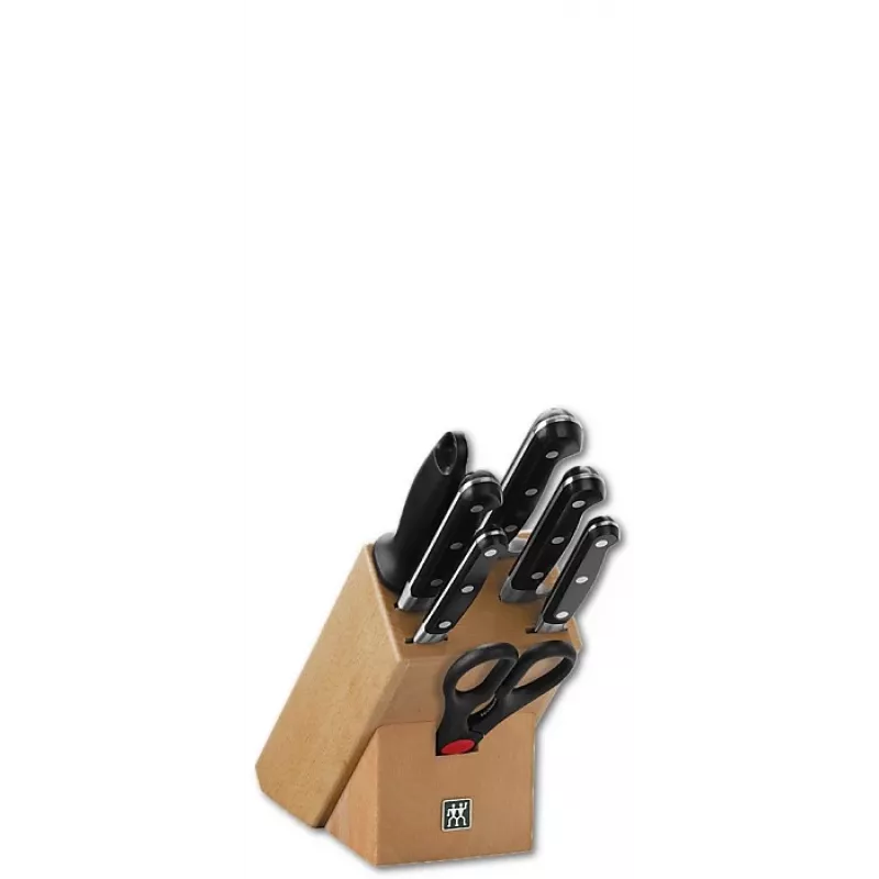 Conjunto de facas com bloco Zwilling Professional S