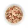 Alimento húmido Agras Pet Foods Schesir 80 g — Frango, sem cereais, adulto, todas as raças