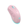 Rato Baracuda BGM-124 Turtle rosa TURTLE-P
