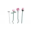 LEGO BOTANICALS 10374 Ramo de Rosas Cor-de-Rosa