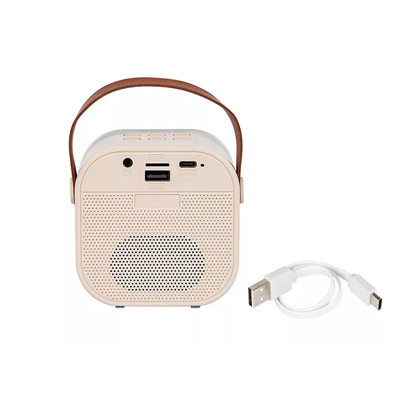 Altifalante de karaoke, altifalante Bluetooth KARAOKE RGB, 30W