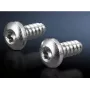 Rittal 2486600 parafusos para chapa com hexalóbulo interior, tipo 5,5, 13 mm, 300 un.