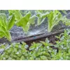 Bico de pulverização Gardena 13321-20 para sistema de rega gota a gota