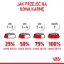 Ração seca para cães Royal Canin Starter Mother & Babydog 1 kg — frango, 30% proteína, 22% gordura