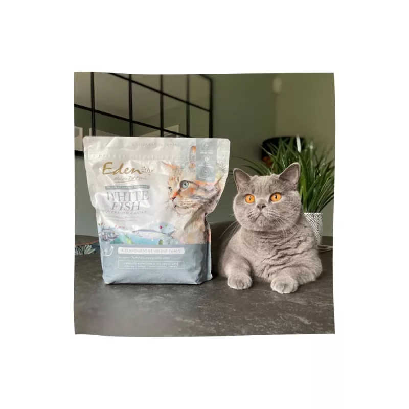EDEN Peixe branco com ovas de arenque - comida seca para gatos - 1,5 kg