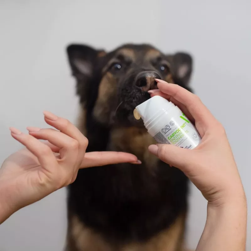 Pasta de dentes para cães VETEXPERT Caryodent Enzymatic 50 ml — cuidado oral veterinário, 50 g, sem açúcar, sem glúten