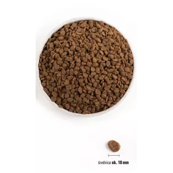 ORIJEN Six Fish Cat - comida seca para gatos - 5,4 kg