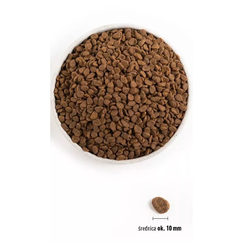 ORIJEN Six Fish Cat - comida seca para gatos - 5,4 kg