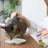 INABA Ciao Filete de Frango Grelhado em Caldo com Sabor a Frango - Petiscos para gatos - 25g